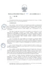 Vista preliminar de documento resolucion_directoral...