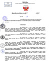 Vista preliminar de documento Resolucion Directoral N° 000546-2025