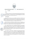 Vista preliminar de documento rd-019-2017-delegacio...