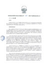 Vista preliminar de documento resolucion-directoral...