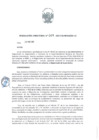 Vista preliminar de documento resolucion-directoral...