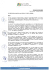 Vista preliminar de documento Ordenanza Nro 550-MDPH