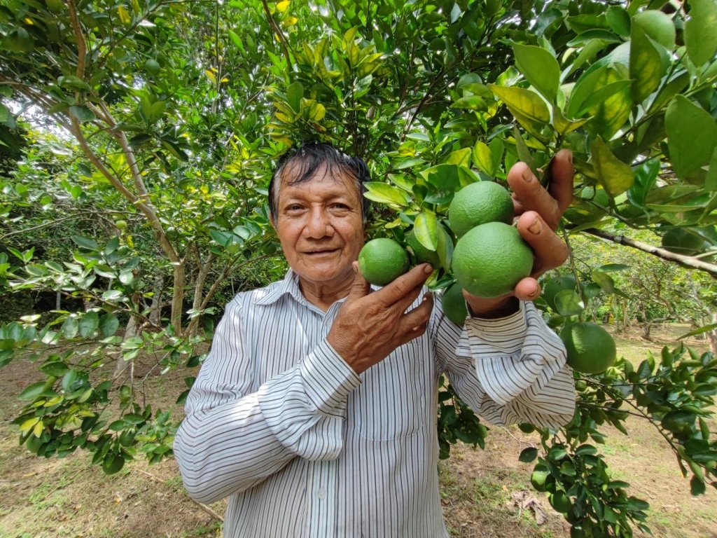 MIDAGRI