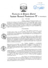 Vista preliminar de documento RGG 017-2025
