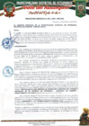 Vista preliminar de documento RESOLUCIÓN GERENCIAL N° 040-2025-MDP-GM.