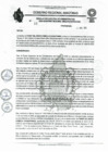 Vista preliminar de documento REA N  089-2024-RECONOCER- FANNY COMECA CHUQUIPIONDO