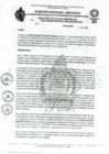 Vista preliminar de documento REA N  092-2024-RECONOCER- DIANA SANCHEZ GARCIA