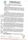 Vista preliminar de documento RGR0075-2025-GRI