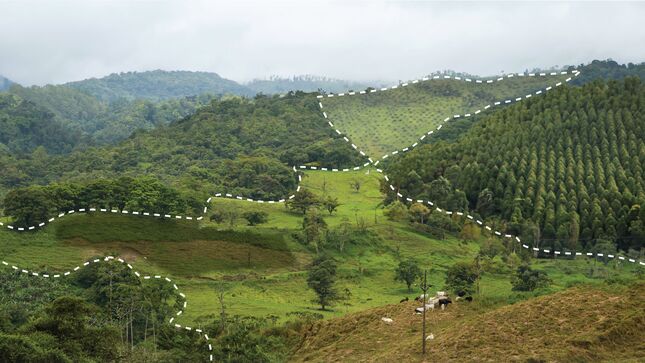 Artículo sobre zonificación forestal