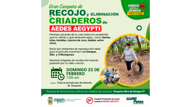 Gran campaña de recojo de criaderos contra el Dengue.