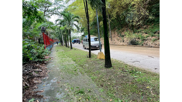 Mantenimiento de Γ‘reas verdes en diferentes puntos de la ciudad de Tarapoto.