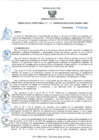 Vista preliminar de documento rd29