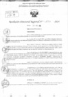 Vista preliminar de documento RDR 11755-2024