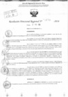 Vista preliminar de documento RDR 11756-2024