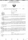 Vista preliminar de documento RDR 11759-2024