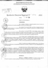Vista preliminar de documento RDR 11761-2024