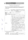 Vista preliminar de documento 01_BASES CONVOCATORIA