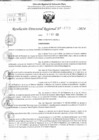 Vista preliminar de documento RDR 11765-2024