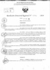 Vista preliminar de documento RDR 11766-2024