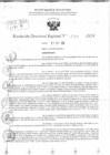Vista preliminar de documento RDR 11767-2024
