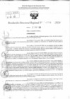 Vista preliminar de documento RDR 11768-2024