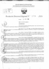 Vista preliminar de documento RDR 11770-2024