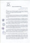Vista preliminar de documento R.D 033-DG-25
