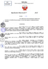 Vista preliminar de documento Resolucion Directoral N° 000610-2025