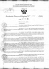 Vista preliminar de documento RDR 11771-2024
