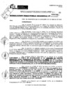 Vista preliminar de documento RDR 0001-2025