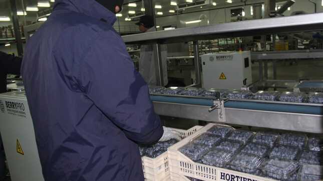 Cuatro De Las Diez Principales Empresas Agroindustriales Del Perú Operan En Chavimochic