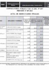 Vista preliminar de documento Acta de resultados finales