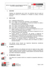 Vista preliminar de documento DIRECTIVA PARA NORMAR EL VOLUNTARIADO