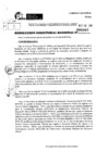 Vista preliminar de documento RDR 0007-2025