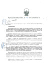 Vista preliminar de documento 202504460809915503