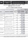 Vista preliminar de documento Acta de resultados finales
