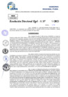Vista preliminar de documento Resolucion Directoral N° 000627-2025
