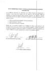 Vista preliminar de documento ACTA 728