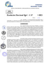 Vista preliminar de documento Resolucion Directoral N° 000628-2025