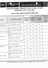 Vista preliminar de documento Acta de resultados finales