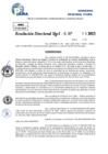 Vista preliminar de documento Resolucion Directoral N° 000633-2025