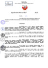 Vista preliminar de documento Resolucion Directoral N° 000638-2025