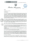 Vista preliminar de documento RA 006 OEA 2025