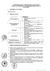 Vista preliminar de documento PERFIL V ANALISTA LEGAL