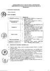 Vista preliminar de documento PERFIL II SUBGERENCIA DE TRANSPORTE PUBLICO Y SEGURIDAD VIAL