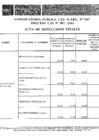 Vista preliminar de documento Acta de resultados finales