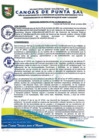 Vista preliminar de documento ORDENANZA MUNICIPAL N° 10-10-2024-MDCPS-CM