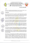 Vista preliminar de documento RESOLUCION N 063