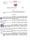 Vista preliminar de documento Resolucion Directoral N° 000655-2025