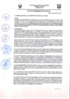 Vista preliminar de documento Resolucion Gerencial Nº 038-2025-GM